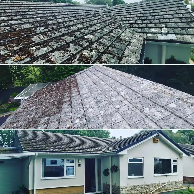 A tiled roof before and after moss removal