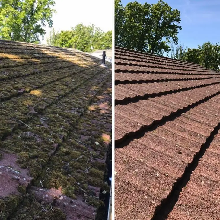Roof tiles before and after cleaning