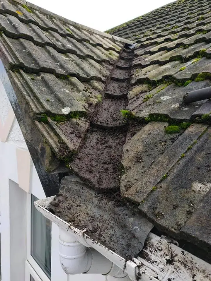 The same gutter after clearing, with the weeds and plants removed